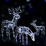 Christmas Decor Christmas Reindeer Motif Lights LED Rope Waterproof Outdoor (chri24)